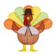 Glitzhome 35.5"L 2.5D Thanksgiving Lighted  Fabric Turkey  Outdoor Decor with 100 warm White LED Lights