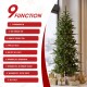 Glitzhome 6.5ft Pre-Lit Green Slim Fir Artificial Tree with 250 Warm White and Multi-Color C4 Strawberry Lights, 9 Function with Remote