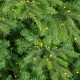 Glitzhome 15ft Pre-Lit Green Pencil Spruce Artificial Christmas Tree with 1500 Warm White and Multi-color Lights, 9 Function with Remote, Simple Setup