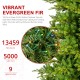 Glitzhome 15ft Pre-Lit Green Full Fir Artificial Christmas Tree with 5000 Warm White and Multi-Color Chasing and Twinkling Lights, 9 Function with Foot Pedal and Remote, Simple Setup