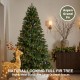 Glitzhome 7.5ft Pre-Lit Green Full Fir Artificial Christmas Tree with 680 C3 Clear Lights, 10 Function, Remote Control