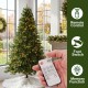 Glitzhome 7.5ft Pre-Lit Green Full Fir Artificial Christmas Tree with 680 C3 Clear Lights, 10 Function, Remote Control