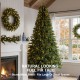 Glitzhome 9ft Pre-Lit Green Full Fir Artificial Christmas Tree with 1000 C3 Clear Lights, 10 Function, Remote Control