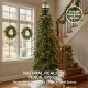 Glitzhome 7.5ft Pre-Lit Green Pencil Spruce Artificial Christmas Tree with 350 Warm White and Multi-color Lights, 9 Function with Foot Pedal and Remote