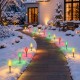 Glitzhome 15.5ft 6-Pack Christmas C9 Strawberry Jumbo Stake Lights
