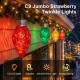 Glitzhome 15.5ft 6-Pack Christmas C9 Strawberry Jumbo Stake Lights