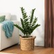 Glitzhome 2.75ft. Faux  Money Tree in Pot