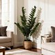 Glitzhome 2.75ft. Faux  Money Tree in Pot