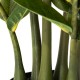 Glitzhome 2.75ft. Faux  Money Tree in Pot