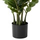 Glitzhome 2.75ft. Faux  Money Tree in Pot