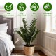 Glitzhome 2.75ft. Faux  Money Tree in Pot