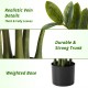 Glitzhome 2.75ft. Faux  Money Tree in Pot