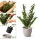 Glitzhome 2.75ft. Faux  Money Tree in Pot